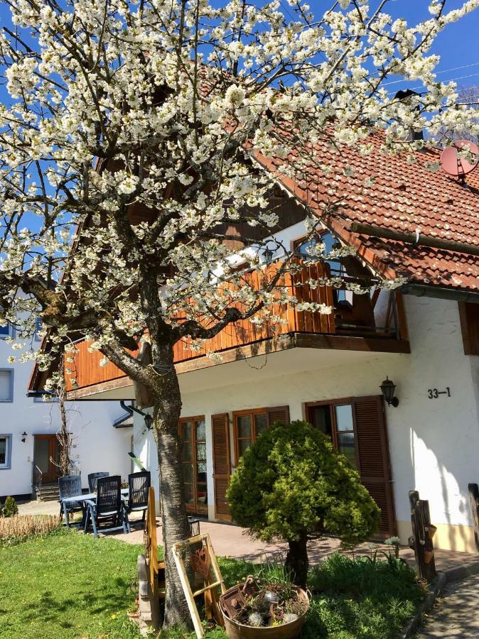 Ferienwohnung Wippenreute Ravensburg Ngoại thất bức ảnh